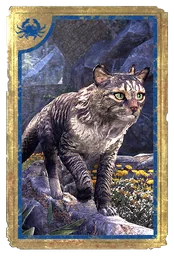 Великолепная горная кошка