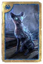 Умалишенная кошка