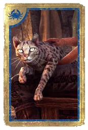 Домашняя кошка