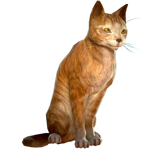 Фермерская кошка