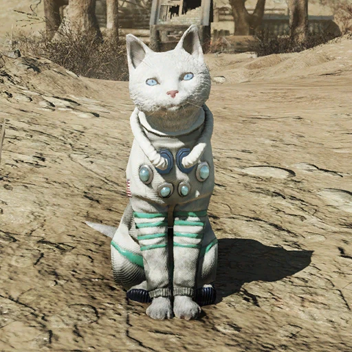 Мистер Галька