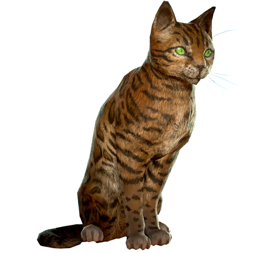 Дикая кошка