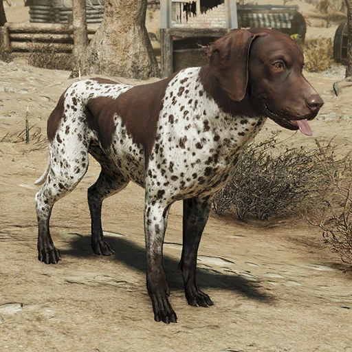 Plott Hound - скриншот 2
