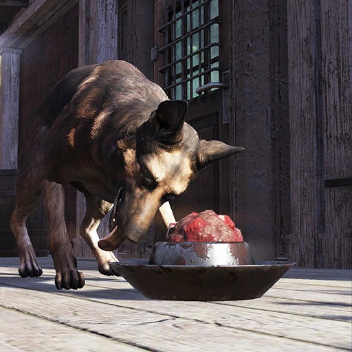 Миска для еды со свалки - скриншот 2