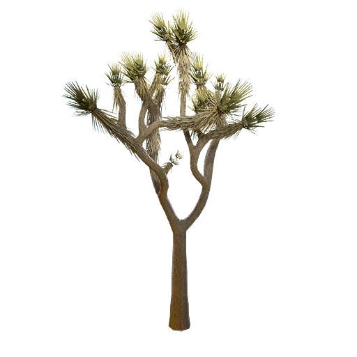 Юкка коротколистная