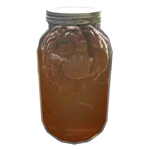 Pickle Brain Маринованные мозги | Fallout 76