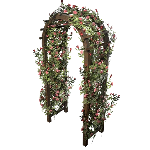 Садовая арка с лозой