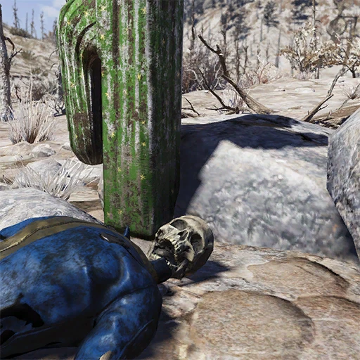 Позирующие скелеты | Fallout 76