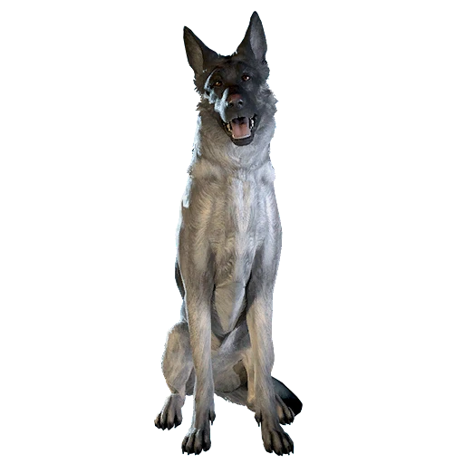 Черная овчарка