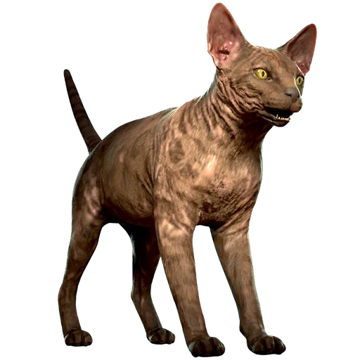 Ликой (кошка)