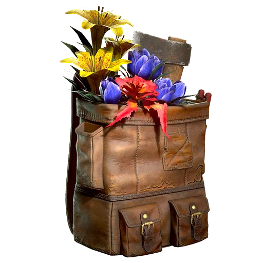 Forager's Rucksack