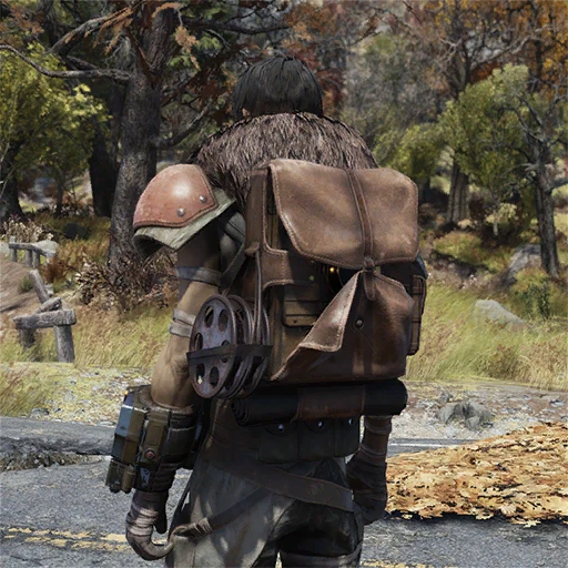 Рюкзак "Фотолюбитель" | Fallout 76