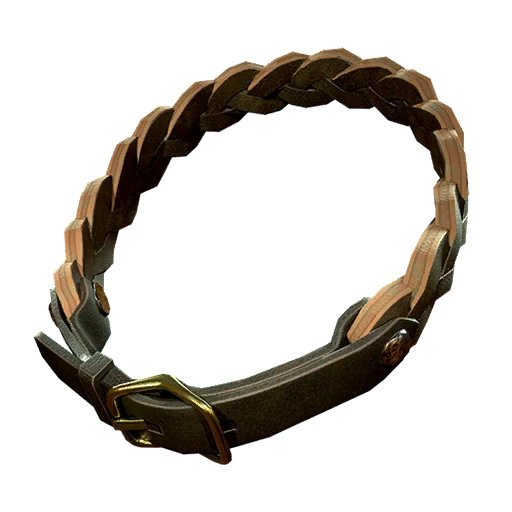 Braided Cat Collar