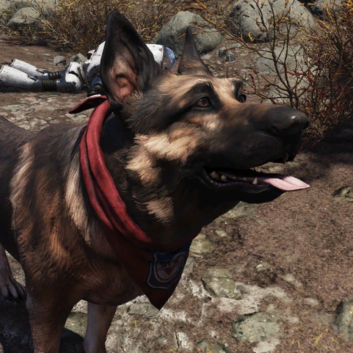 Платок Спасателей (для собаки) - скриншот 2