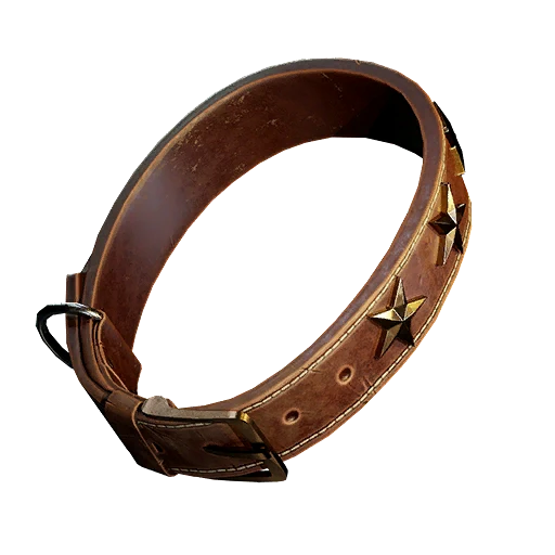 Звездный ошейник (собачий)