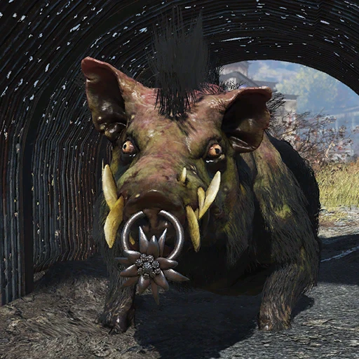 Edelweiss Nose Ring (Radhog)