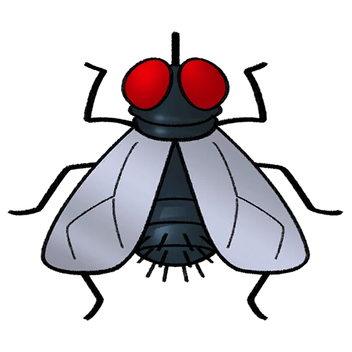 Татуировка "Муха"