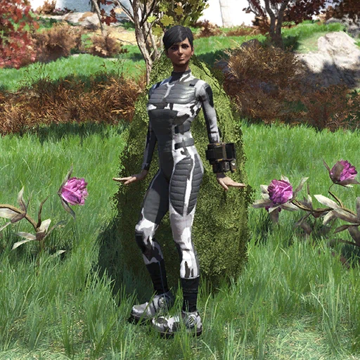 Поддоспешник секретной службы «Зима на Аляске» - скриншот 1