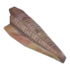 Мясо удильщика