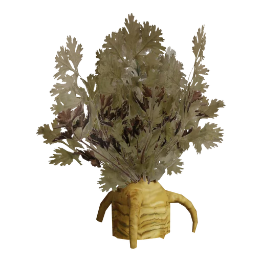 Морковь