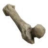 Бедренная кость