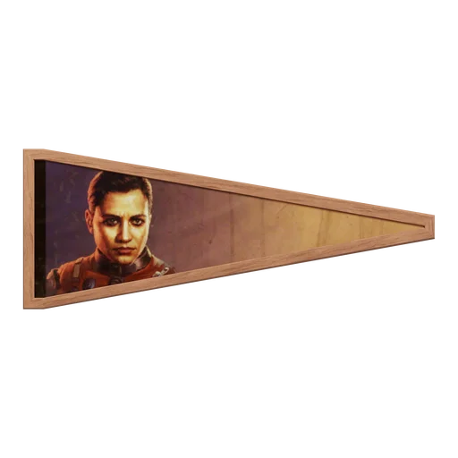 Вымпел "П.Т.С." в рамке