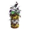 Blasted Barrel Plant