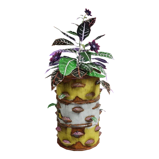 Blasted Barrel Plant