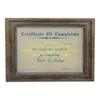 Vault-Tec Training Certificate