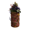 Blasted Barrel Plant