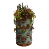 Blasted Barrel Plant